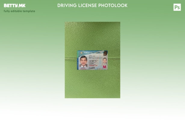 модерен стил Гватемала возачка дозвола претставува преден шаблон со фото изглед